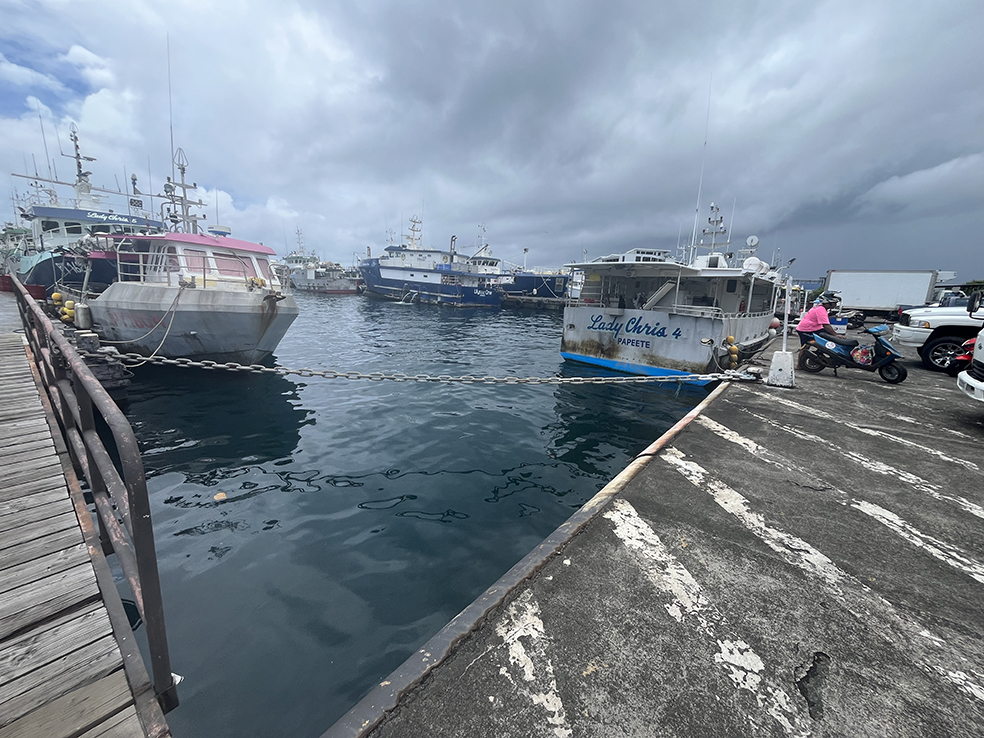 Port de pêche de Papeete : Une gestion “structurellement déficitaire”