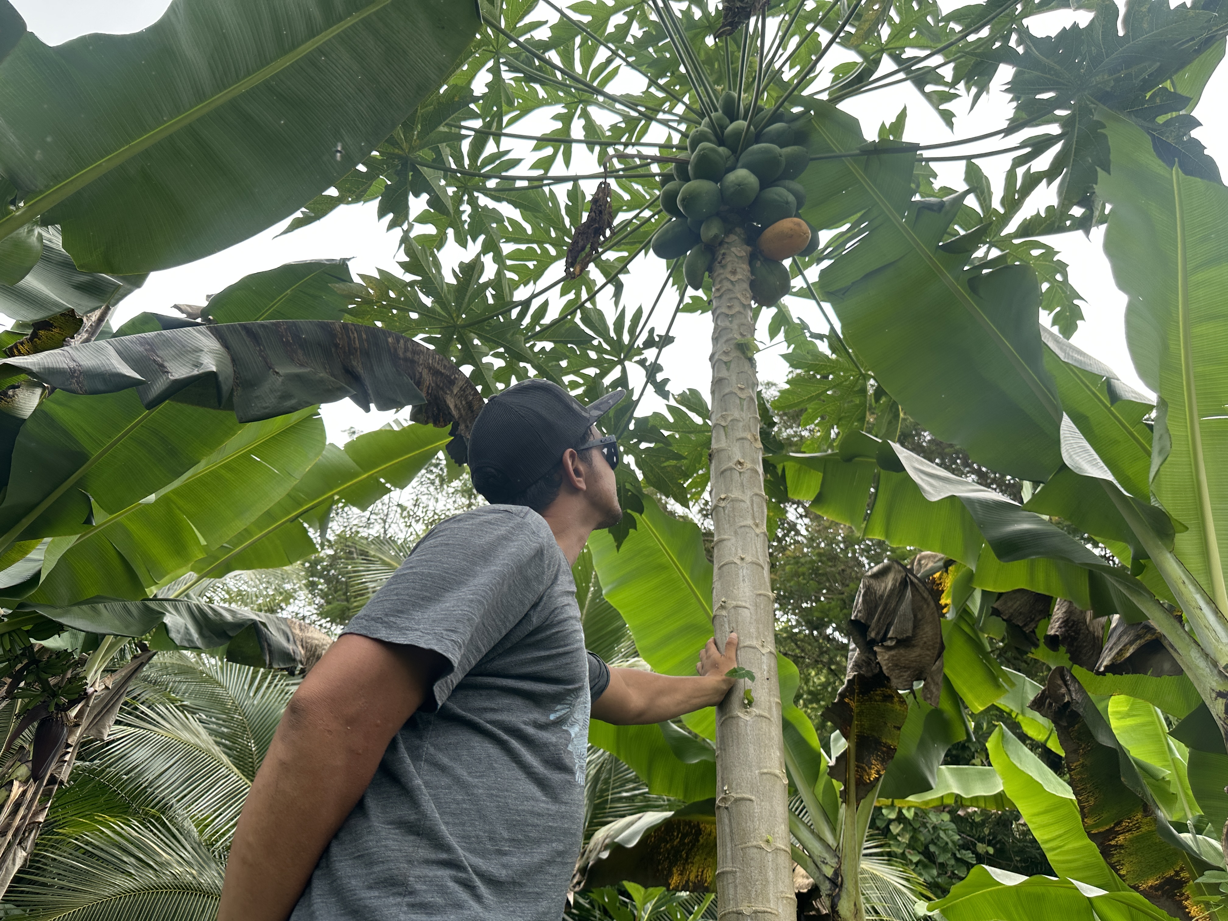 Légumes ou arbres fruitiers, le jeune trentenaire ne se donne aucune limite.