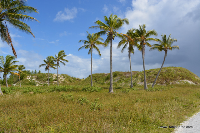 Une partie du site du futur complexe Tahiti Nui Ocean Foods est recouvert de tas de gravats issus de la destruction des anciens bâtiments militaires de Hao.