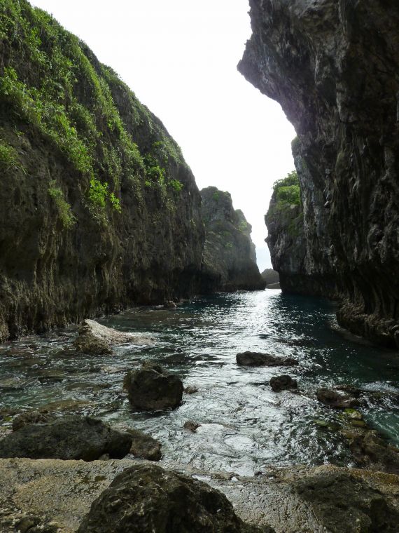 "Nous avons décidé d'établir des relations diplomatiques avec la volonté de renforcer notre coopération avec Niue au niveau international", a indiqué le ministre japonais des Affaires étrangères, Fumio Kishida.