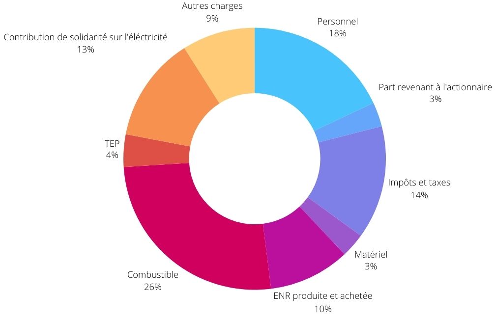 Facture d'électricité : Que payez-vous ?