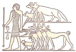 La domestication du chien remonterait à plus de 27.000 ans