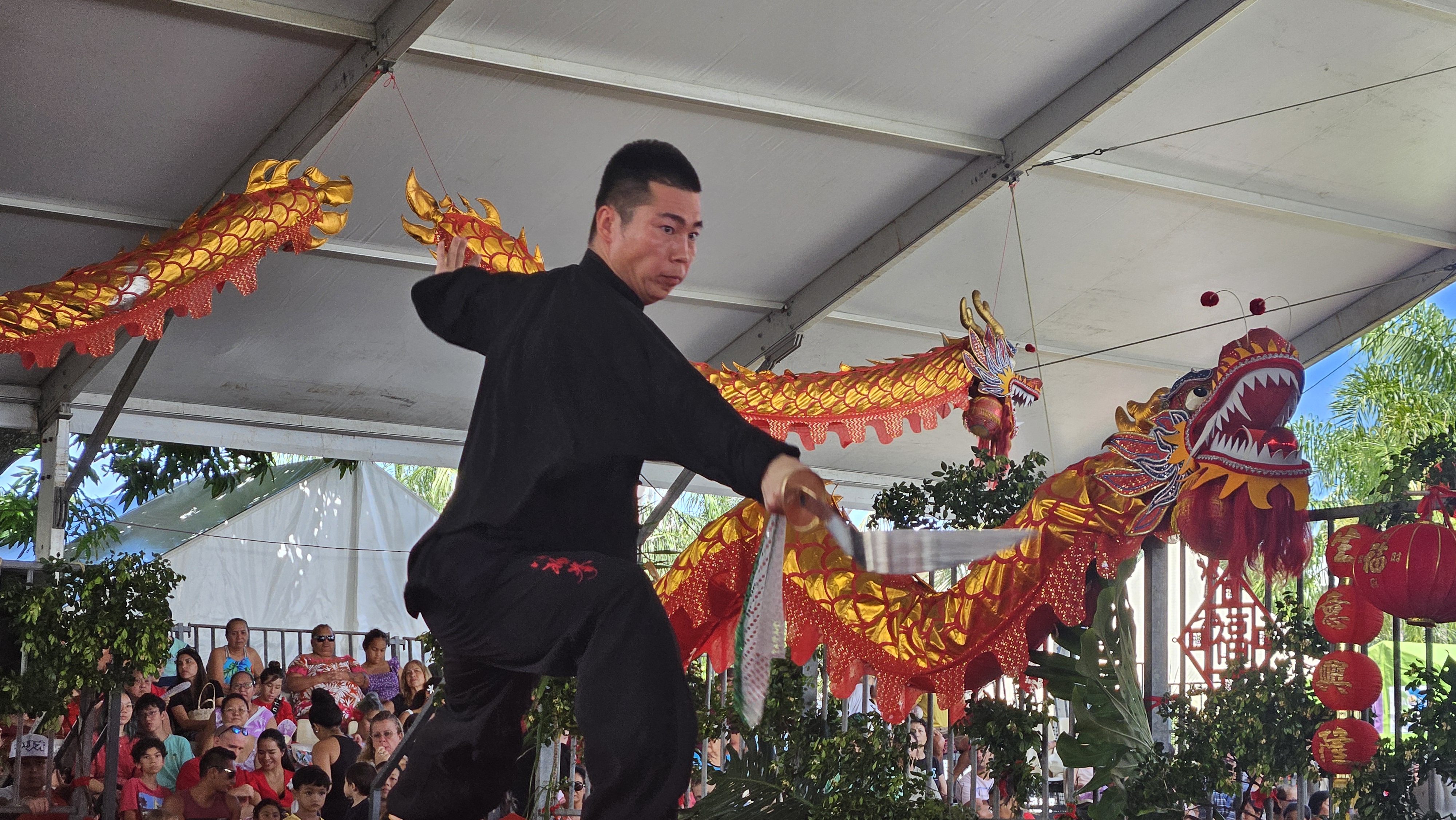 Plein succès pour la journée culturelle chinoise