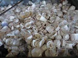 Canibal, la machine intelligente qui donne une deuxième vie au gobelet en plastique