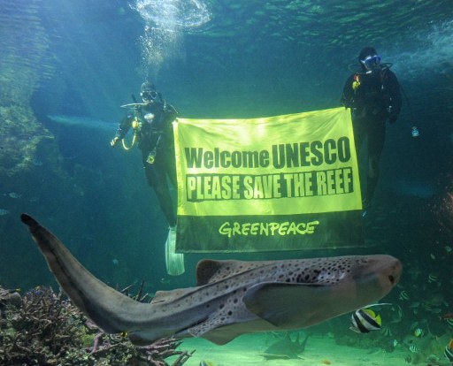 Des militants de Greenpeace appelent l’Unesco à sauver la grande barrière de corail © AFP PHOTO / Greg WOOD