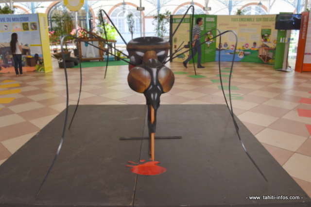 Ce moustique géant a été sculpté par Constant Fournier dans de la mousse en polyuréthane, et peint par le grapheur Jops à partir d'un modèle en photo. Constant Fournier avait conçu les chars du Carnaval dans les années 2000. Il lui a fallu une semaine pour finaliser cet Aedes avec une structure en ferraille et un manche à balai en guise de dard !