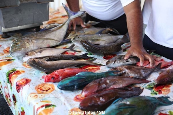 De belles prises pour Vaihoarii et Philippe
