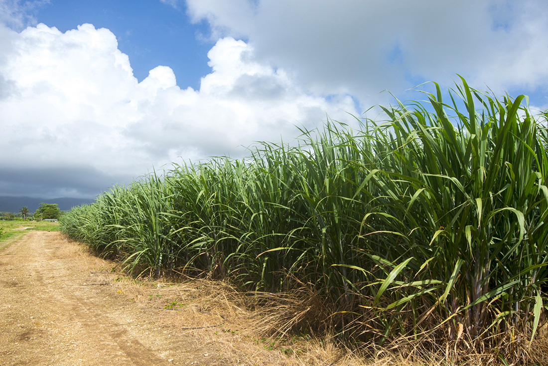 Crédit Helene Valenzuela / AFP
