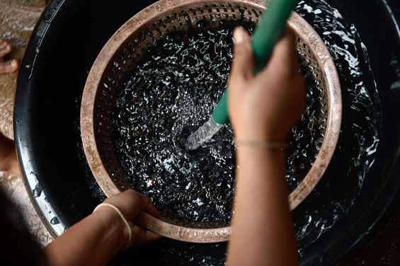 Le Black Ivory coffee est fabriqué à partir de grains de café ingérés par les éléphants.