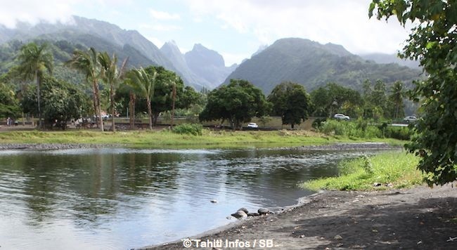 Que faire ce week-end ? Nos propositions !