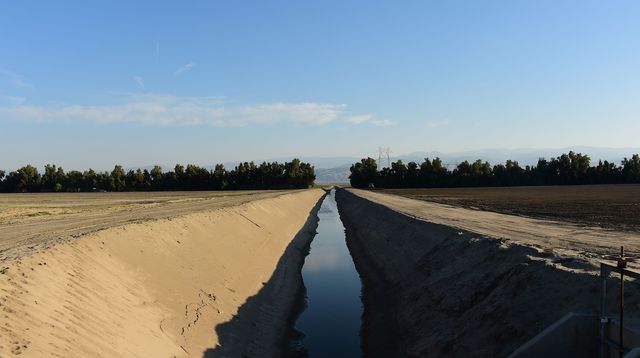 La Californie est entrée cette année dans sa quatrième année de sécheresse consécutive. AFP PHOTO