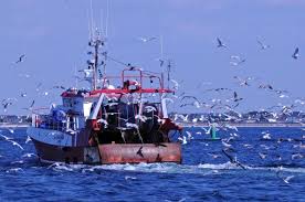 Pêche: la situation "plutôt favorable" pour le secteur en France