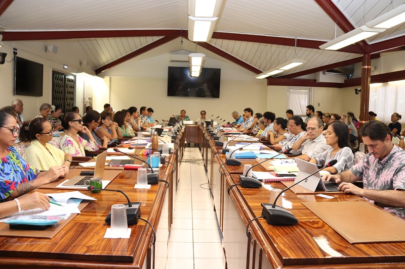 Les élus de la commission de l'Economie et des Finances ont adopté au bout de trois heures et demie la même loi fiscale que celle adoptée en décembre et annulée ce lundi par le Conseil d'Etat. Le Tapura et Ahip ont voté contre. Crédit photo : APF