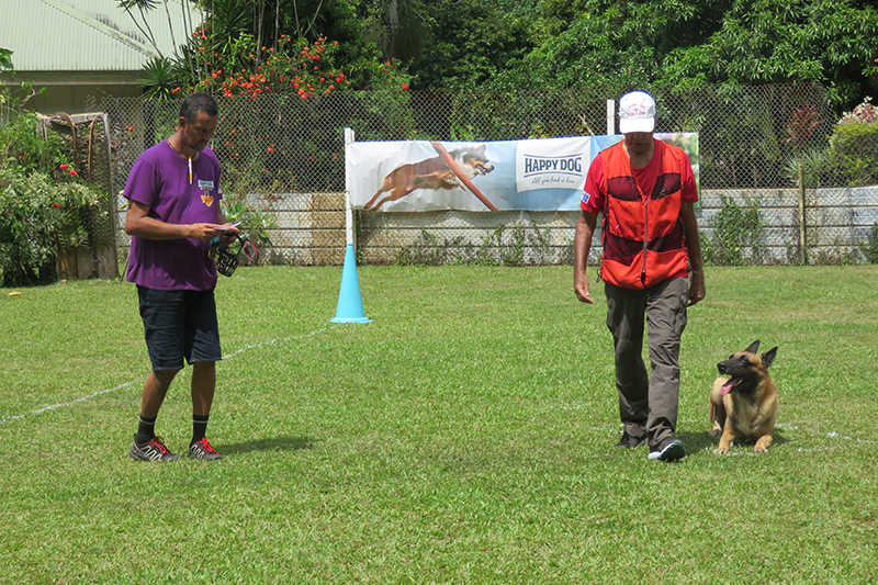 “Des chiens de qualité” pour la première compétition canine de l’année
