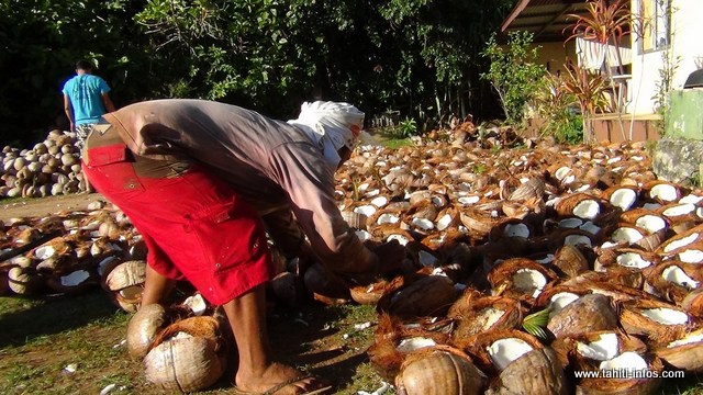 Marino Mooroa préfère être dans sa cocoteraie.