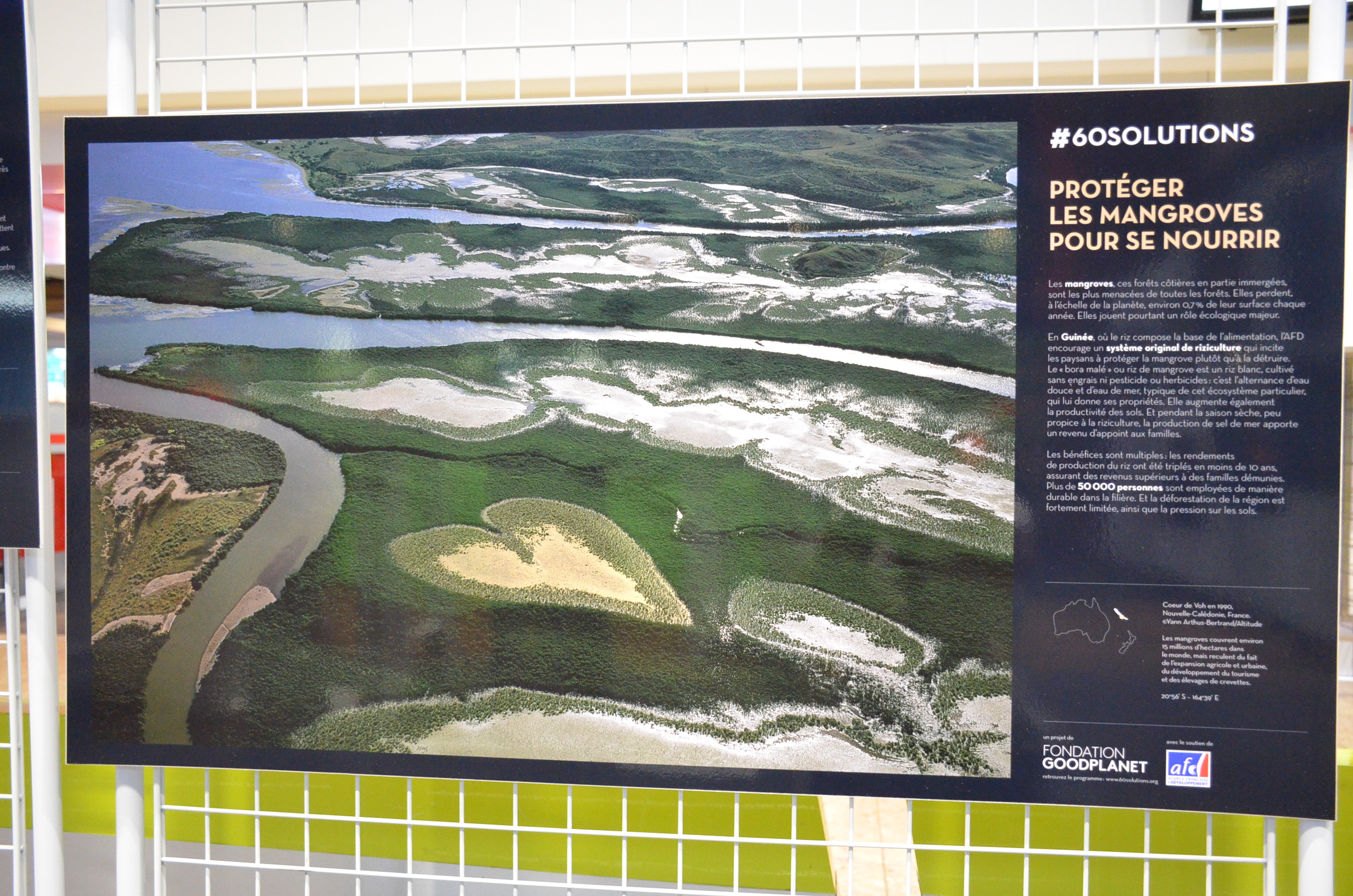 "60 solutions face au changement climatique" : une exposition pour un développement durable