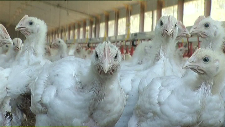 (crédit photo : France 3)