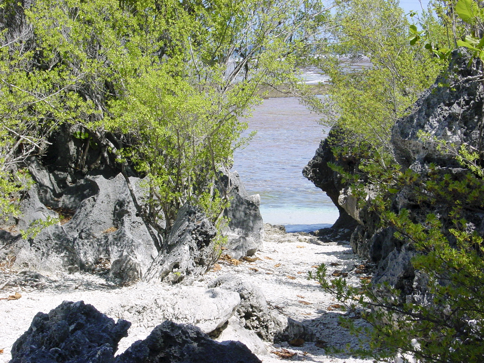 A la découverte des flots tumultueux de Tikehau avec Tahiti Heritage