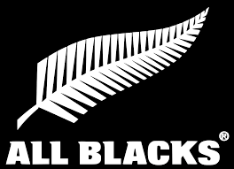 Saisons 2016-2017: programme chargé pour les All Blacks avec la tournée des Lions britanniques et irlandais