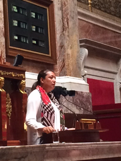 Adoption du projet de loi outremer: les dispositions pour la Polynésie