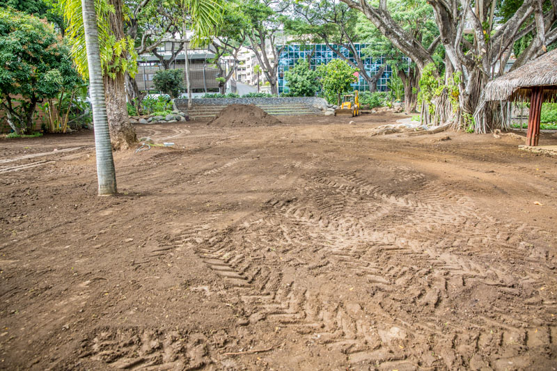 Près de 600 m3 de terre et de compost ont été répandus dans les jardins sur l'arrière de l'Assemblée.