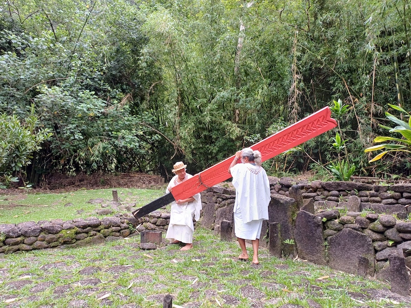 ​Retrait des unu dans la vallée de la Papenoo