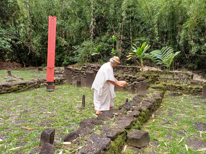 ​Retrait des unu dans la vallée de la Papenoo