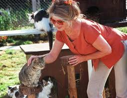 Australie: Brigitte Bardot dénonce l'abattage annoncé de deux millions de chats sauvages