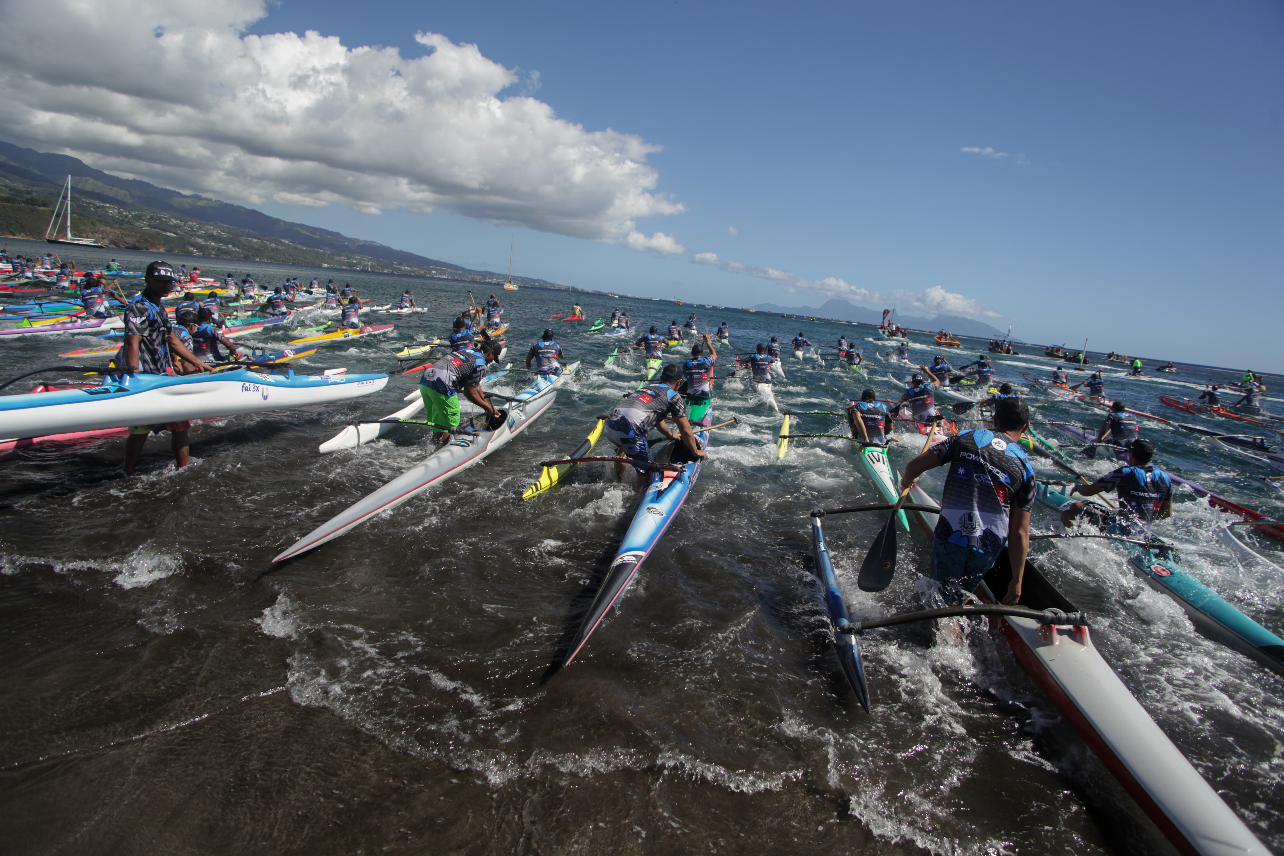 Te Aito 2024, retour aux sources