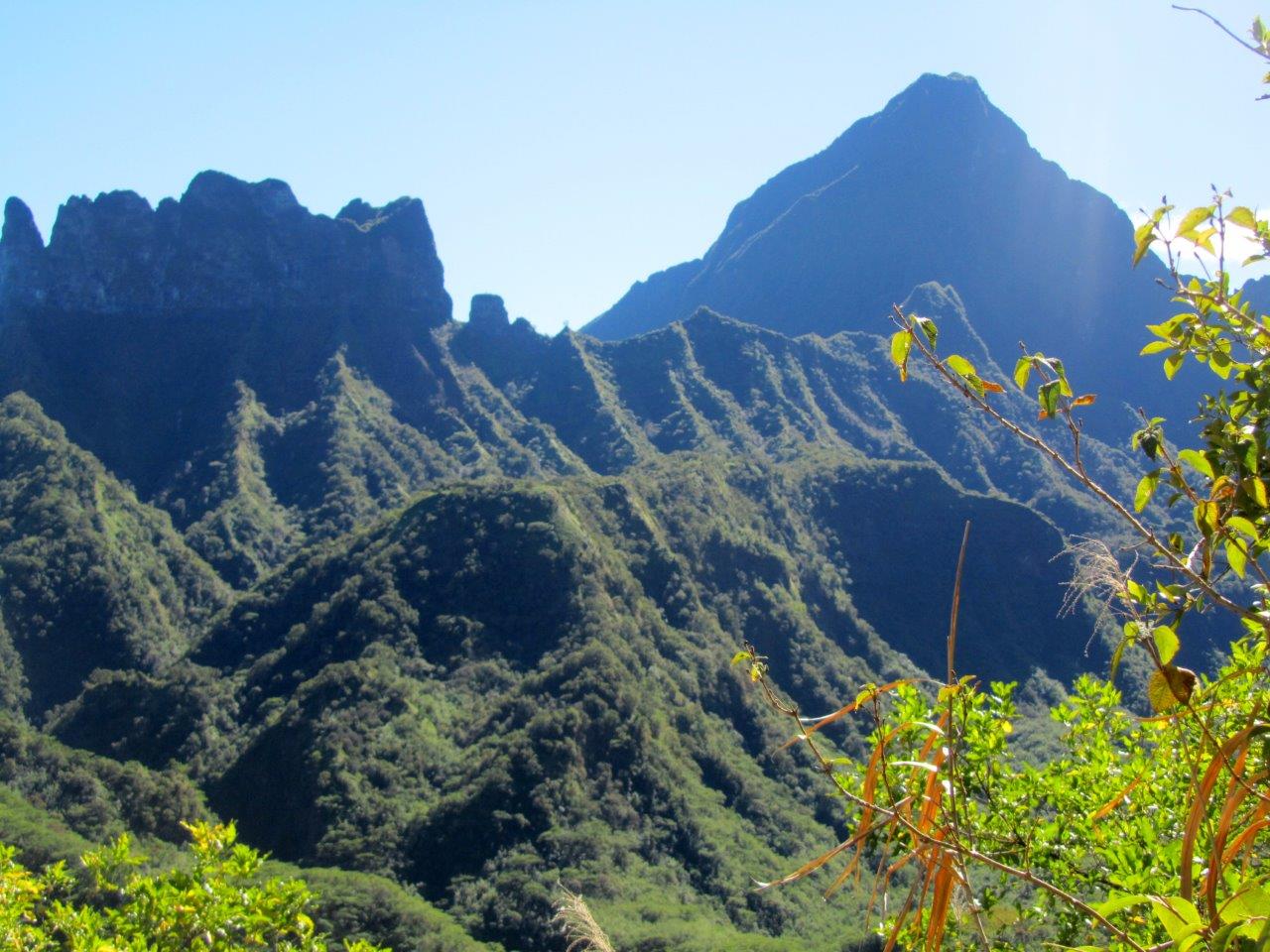 Dès l'arrivée sur le plateau de Tamanu après la montée, le panorama est magnifique.  Là une vue sur le  mont Te Hena o Mai'ao (Diadème), mais du plateau de Tamanu on voit également l'Aorai, l'Orohena et le mont Marau sous des angles moins classiques.