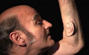 Stelarc, l'artiste qui fait pousser une "oreille" sur son bras" pour la connecter à internet