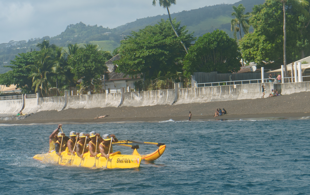 Les 'aito en jaune confirment leur victoire de l'année dernière. Crédit : TL