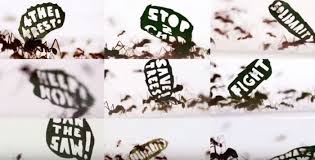 Un demi-million de fourmis manifestent à l'appel du WWF pour l'Amazonie