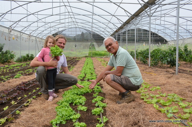 Romain Borie et Augustin Vonken - Matea Sud