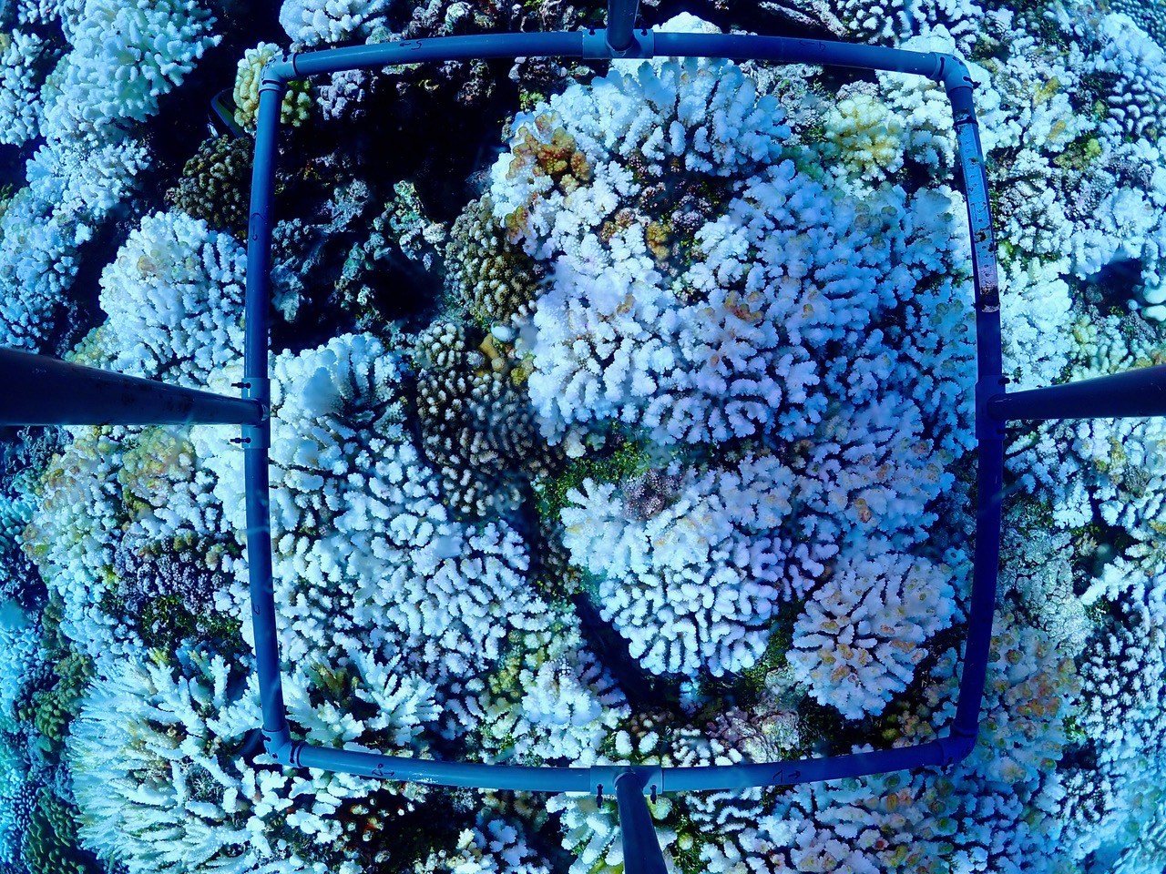 crédit photo : Hugo Bischoff