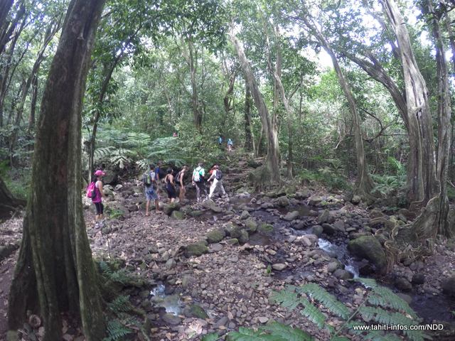 Le passage de gué (facile) dans la forêt de Mape