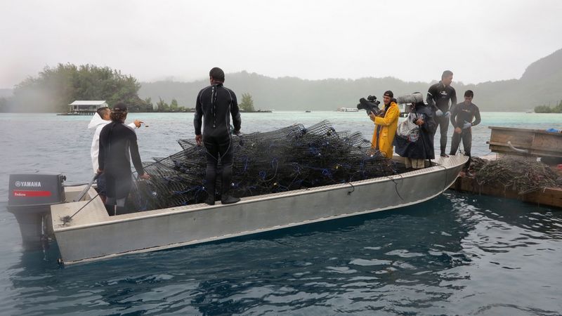 Les hommes usent leur santé à plonger en apnée pour rapporter le précieux joyau. (Photo : DR)