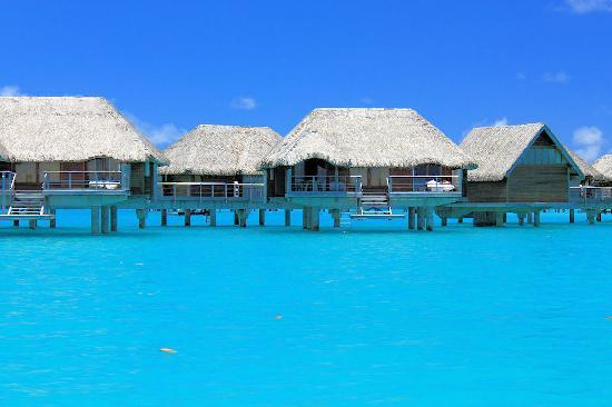 L’autopsie confirme la noyade de Carmel Musgrove