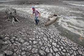 El Niño fait souffrir le Pacifique