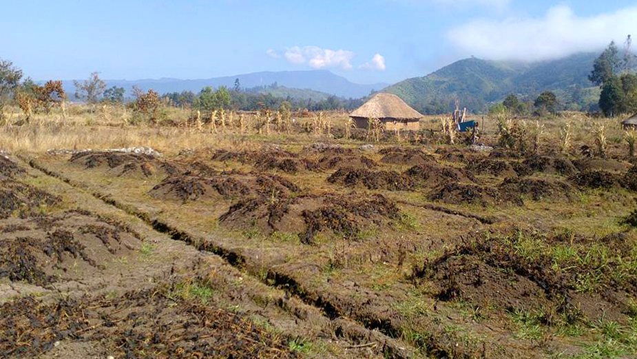 El Niño fait souffrir le Pacifique