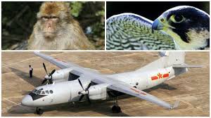 Pékin déploie des faucons et des singes avant son grand défilé militaire