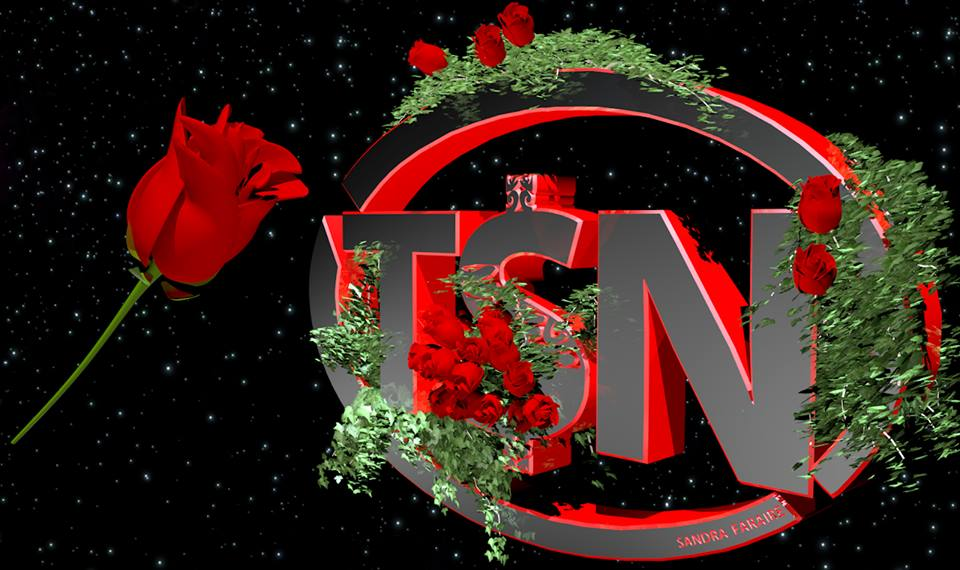 La société Training $andra Network en cessation de paiement