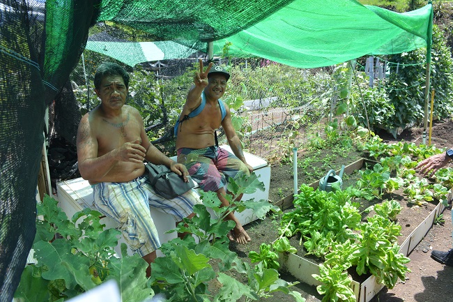 Des jardins partagés il en existe déjà dans d'autres communes comme à Arue (notre photo) à Papeete ou à Faa'a.