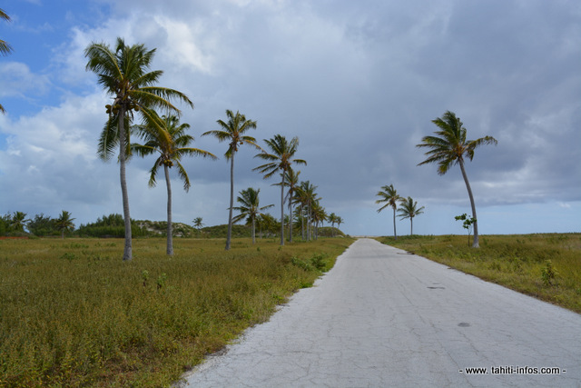 La route actuelle qui traverse une  partie du foncier sur lequel la ferme aquacole va se construire à Hao. Elle sera déplacée plus en bord de mer et protégée par un mur : des travaux qui seront financés par le Pays et l'Etat via le 3IF.