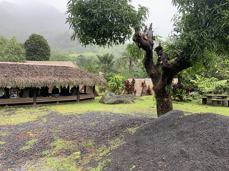 The Haururu Association invites traditional practitioners and health professionals to spend a weekend together. The motivation? An annual symposium where traditional medicine (medicine "Comprehensive") and contemporary medicine, weaving connections between past and present, science and ancestral care. Photo credit: Thibault Segalard. The Haururu Association invites traditional practitioners and health professionals to spend a weekend together. The motivation? An annual symposium where traditional medicine (medicine "Comprehensive") and contemporary medicine, weaving connections between past and present, science and ancestral care. Photo credit: Thibault Segalard.