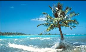 Fin du 46ème sommet du Forum des Îles du Pacifique : un communiqué et des polémiques