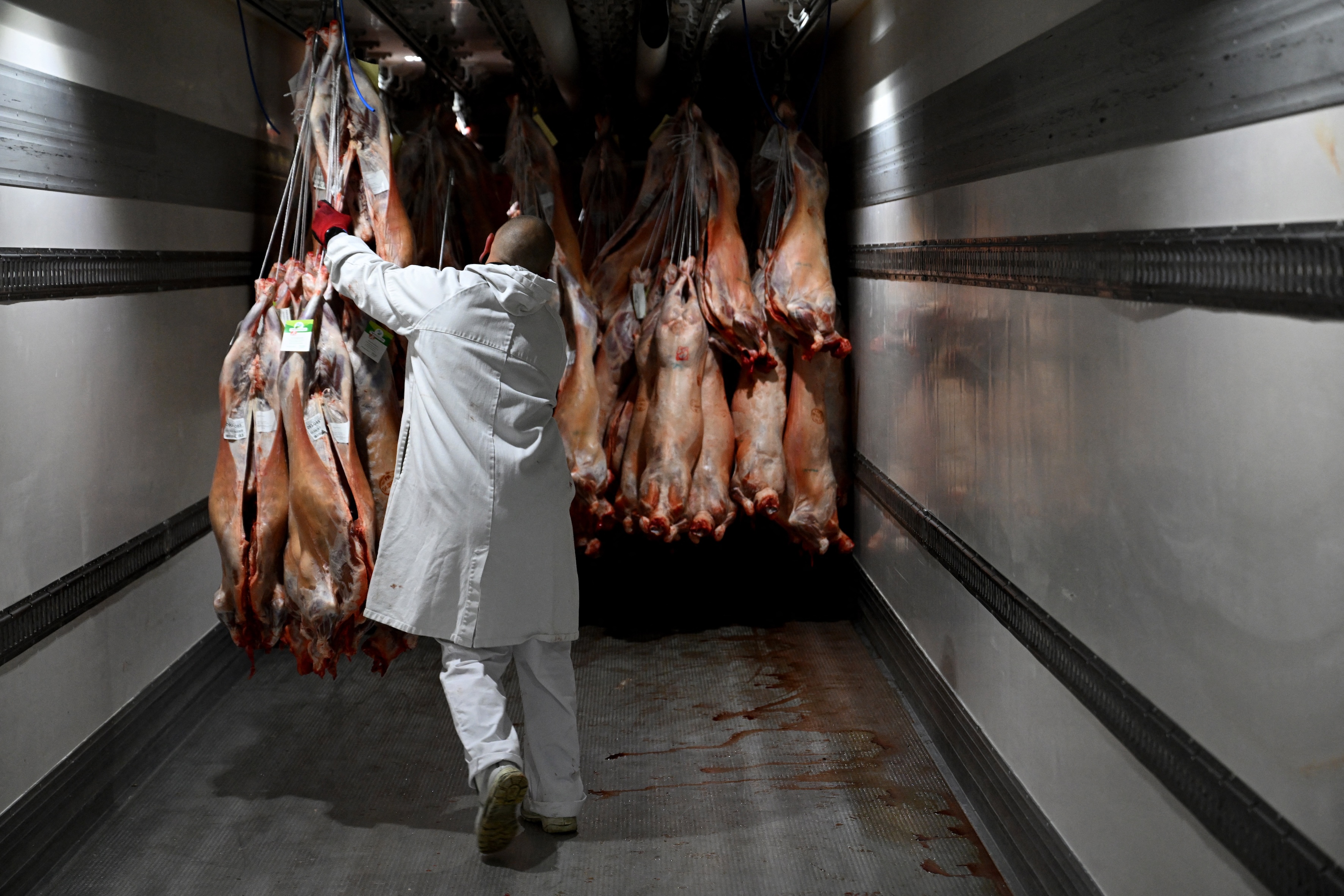 L’abattoir haché menu par la CTC