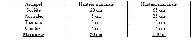 Séisme au Chili :  Point de situation à 19h30 : maintien de la vigilance tsunami  en Polynésie française