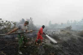 Incendies en Indonésie: sept suspects dont des cadres de sociétés interpellés