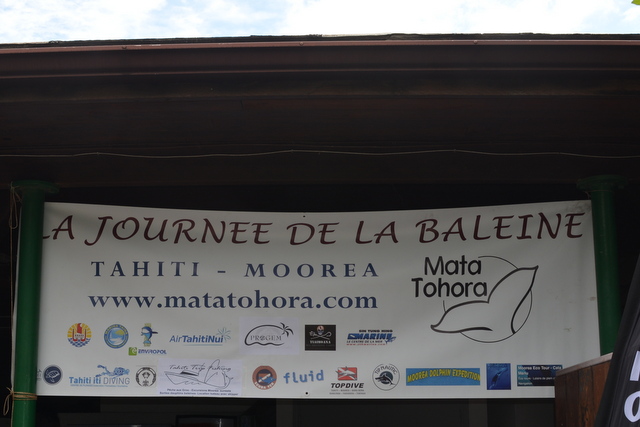 La journée de la baleine a enchanté les enfants